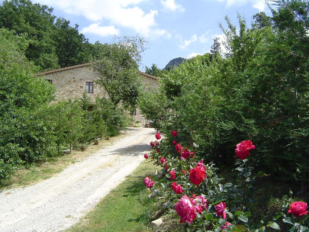 Podere Le Ghiande CastellʼAzzara المظهر الخارجي الصورة